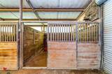 891 Pilgrim Rest Road - Photo 11