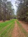 00 Old Plain Dealing Road - Photo 2