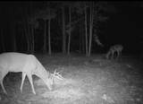 00 Old Plain Dealing Road - Photo 4