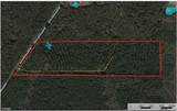 00 Old Plain Dealing Road - Photo 5