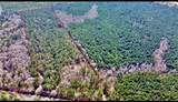 00 Old Plain Dealing Road - Photo 6