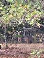 Lot 457 Lakeside Drive - Photo 20