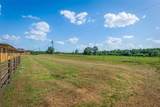 15520 Highway 9 - Photo 21