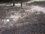 751 Dogwood Trail - Photo 4