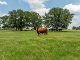 5315 Fm 932 - Photo 37