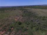 TBD3 County Road 405 - Photo 4