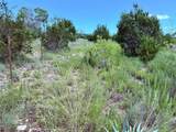 Lot 16 Private Road 3032 Road - Photo 10