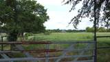 TBD Bell Road - Photo 7