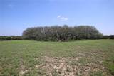 TBD Fm 221 - Tract 3 - Photo 18