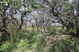 TBD Fm 221 - Tract 3 - Photo 3