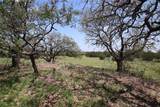 TBD Fm 221 - Tract 3 - Photo 6