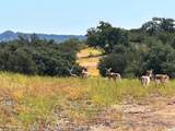 12300 County Road 367 - Photo 23