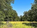 12300 County Road 367 - Photo 25