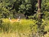12300 County Road 367 - Photo 27