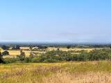 12300 County Road 367 - Photo 34