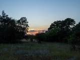 12300 County Road 367 - Photo 38