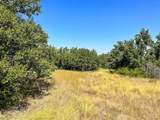 12300 County Road 367 - Photo 39