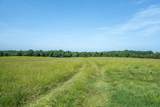 00 County Road 4501 - Photo 19