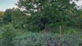TBD Bloodworth Rd. Road - Photo 22