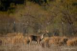 12601 Fm 586 - Photo 39