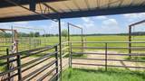 313 Vz County Road 3910 - Photo 34