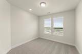 2828 Yampa Drive - Photo 34
