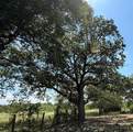 TBD Cr 105A - Photo 29