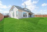 2302 Prosper Way - Photo 38