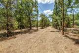 2812 County Road 805B - Photo 10