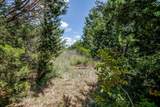 2812 County Road 805B - Photo 12