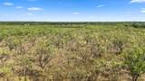 TBD 157.5 Acres County Road 302 - Photo 12