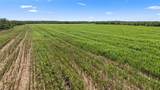 TBD 157.5 Acres County Road 302 - Photo 23