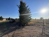 2497 County Road 3320 - Photo 4