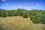 8088 Fm 118 - Photo 34