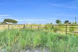 TBD Old Buena Vista Road - Photo 17