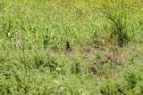 TBD Gilbert Road - Photo 16