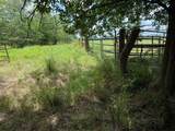 0 FM 2653 WS INSIDE Ridgeway Ranches Road - Photo 4