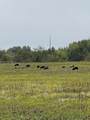 Tract 13-TBD Fm-677 - Photo 10