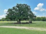 10466 Fm 3273 - Photo 22