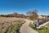 4210 Tea Olive Trail - Photo 14