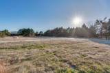 4210 Tea Olive Trail - Photo 9