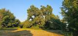 220-1 Private Road 6531 - Photo 7