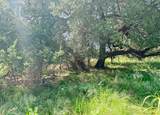 Lot 6 Morris Sheppard Drive - Photo 10