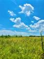 TBD Tracts 23 & 24 County Rd 3644 - Photo 4