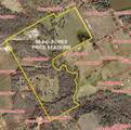 8401 County Rd 305 - Photo 10