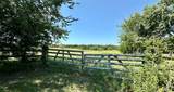 8401 County Rd 305 - Photo 3