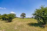 TBD Old Mineral Wells Highway - Photo 9