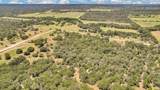 Lot 25 County Road 127 - Photo 12