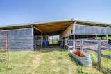 1041 County Road 310A - Photo 14