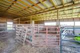 1041 County Road 310A - Photo 15